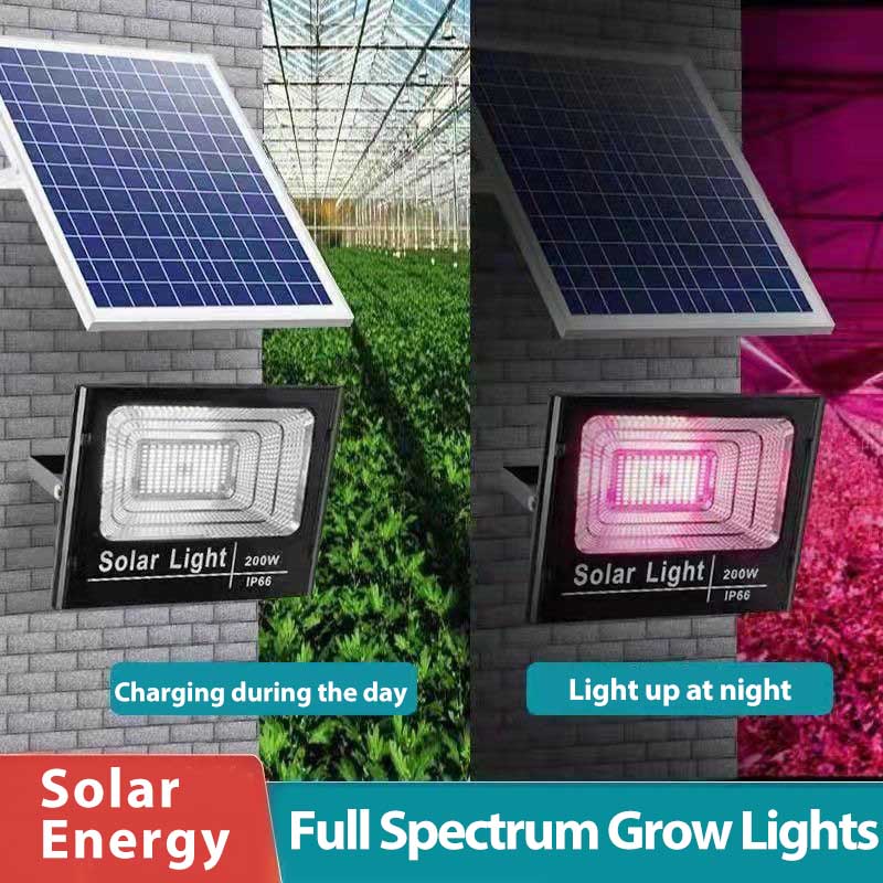 Solar LED Grow Light Full Spec - Outdoor Power And Plant review and price