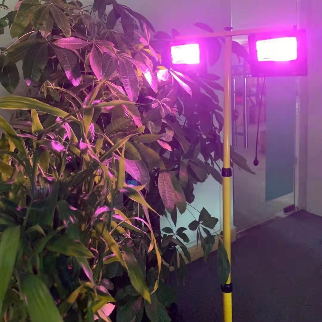 Solar LED Grow Light Full Spec - Outdoor Power And Plant review and price